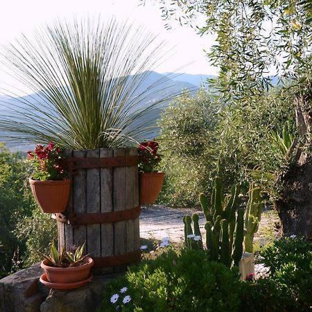 La Gatta Sul Sentiero Bed and Breakfast San Salvatore  Buitenkant foto