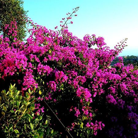 La Gatta Sul Sentiero Bed and Breakfast San Salvatore  Buitenkant foto