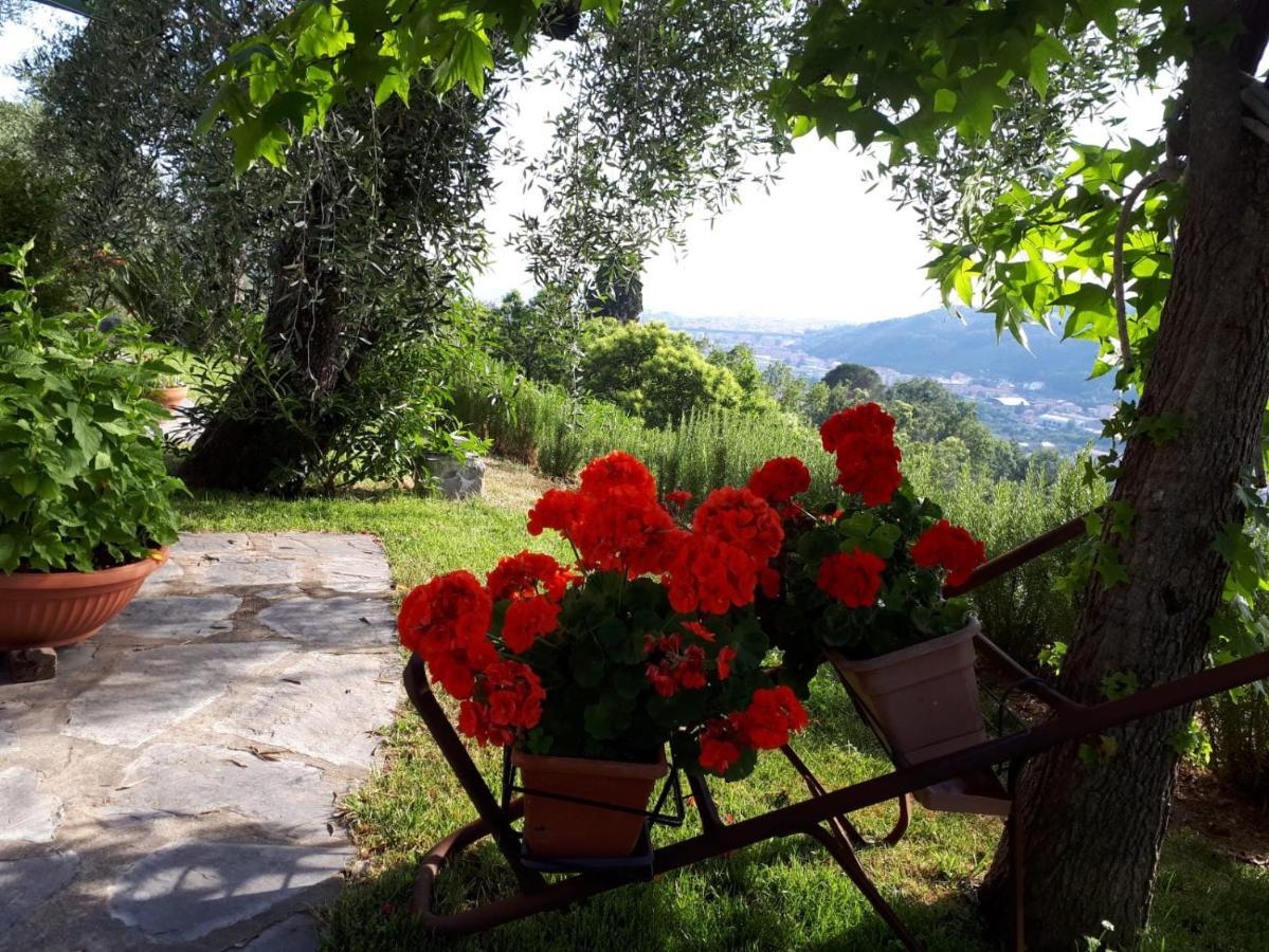 La Gatta Sul Sentiero Bed and Breakfast San Salvatore  Buitenkant foto