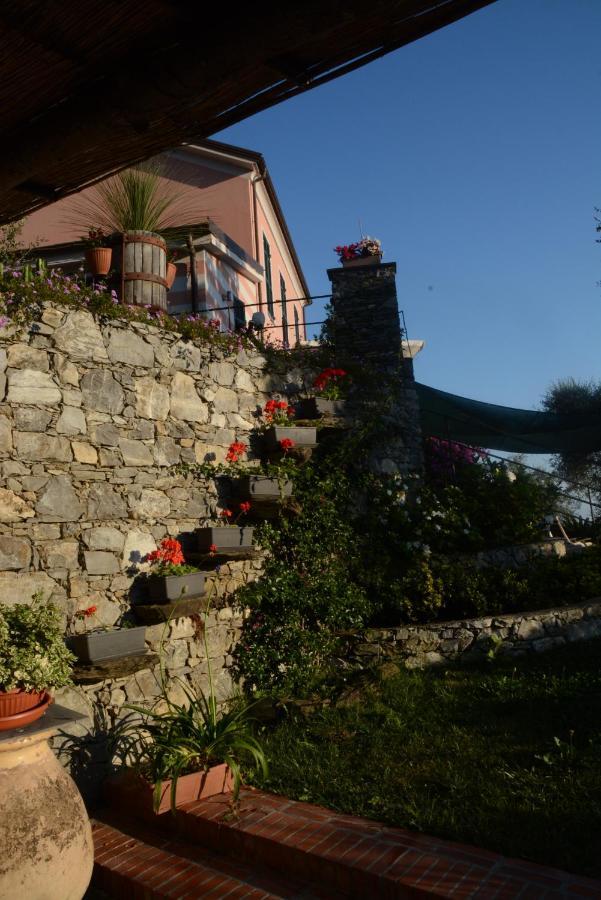 La Gatta Sul Sentiero Bed and Breakfast San Salvatore  Buitenkant foto