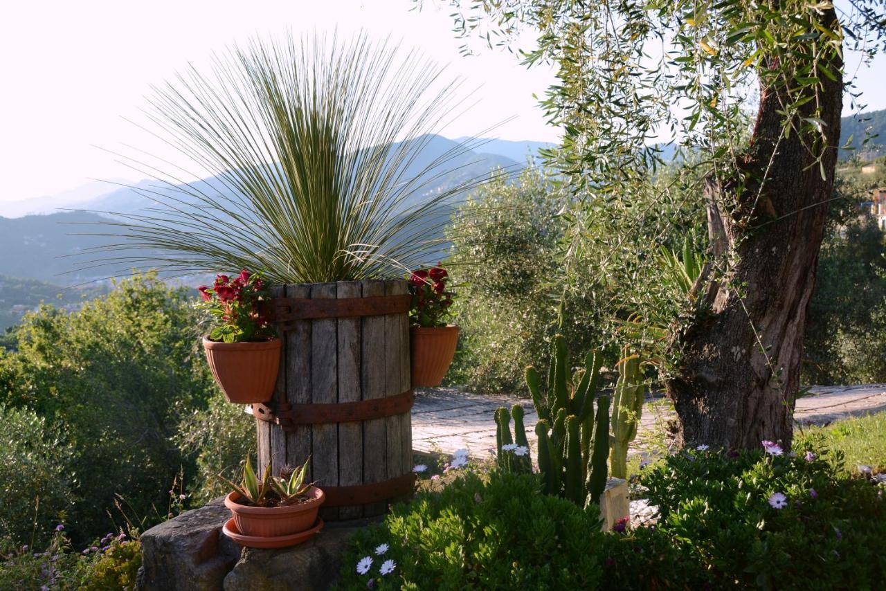 La Gatta Sul Sentiero Bed and Breakfast San Salvatore  Buitenkant foto